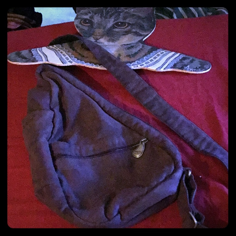 AmeriBag plum lots of pockets sling healthy back